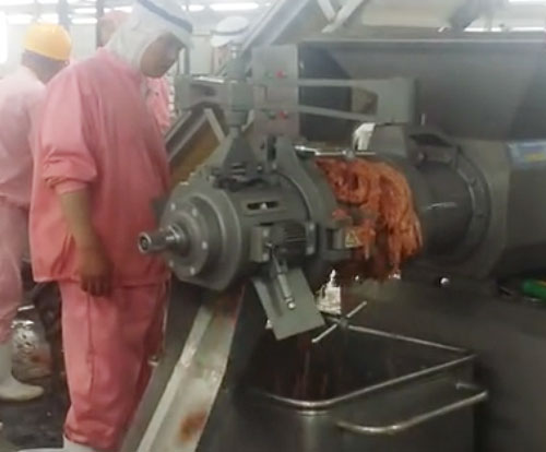 deboning-chicken-neck